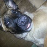 Profile Picture of Neil Bird (@sneilnee) on Instagram