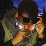Profile Picture of ceaser the ape (@brian_nomad) on Instagram