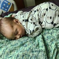 Profile Picture of Lorie Waite (@lorie-waite) on Quora