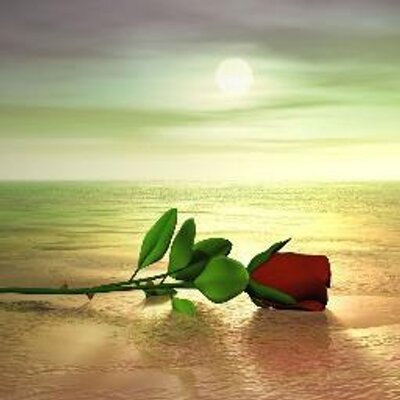 Profile Picture of Andrea Torrez (@andre12345_) on Twitter