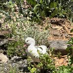 Profile Picture of Jonathan Hildebrand (@Jonathan-Hildebrand) on Facebook