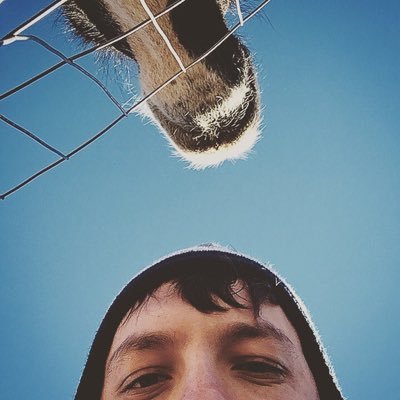 David Yankovich - Twitter Profile Picture of David Yankovich (@walkiingwounded) on Twitter