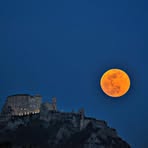 Profile Picture of Michele Gnau (@michele.gnau) on Facebook