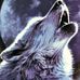 Profile Picture of William Clodfelter (@William-Clodfelter) on Facebook