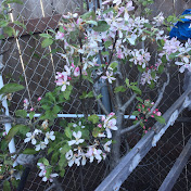 Profile Picture of Ricky Nguyen (@rickynguyen24) on Youtube