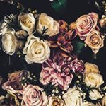 Profile Picture of erika_saarinen (@erika_saarinen) on Instagram