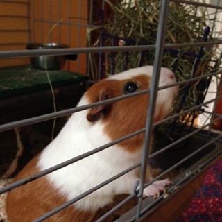 Profile Picture of Hazel Whiting (@Hazel-Whiting) on Facebook