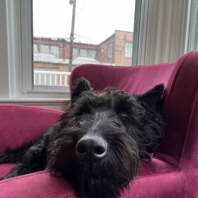 Profile Picture of Alexandra R. (@Alexa_MRo) on Twitter