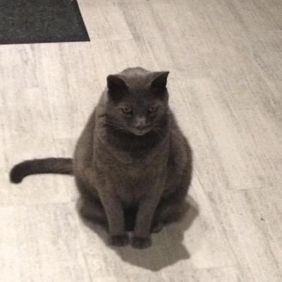 Profile Picture of Dylan Shepard (@DylanShepard12) on Twitter