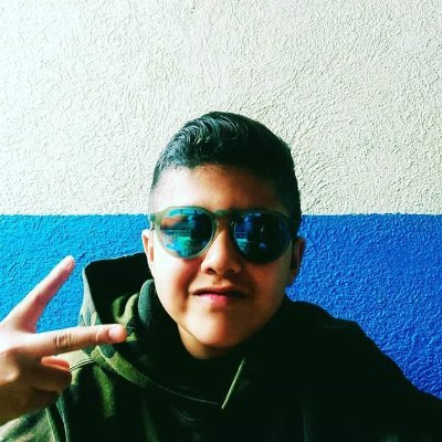 Profile Picture of Mauro Samuel Velázquez Godínez (@MauroSamuelVel1) on Twitter