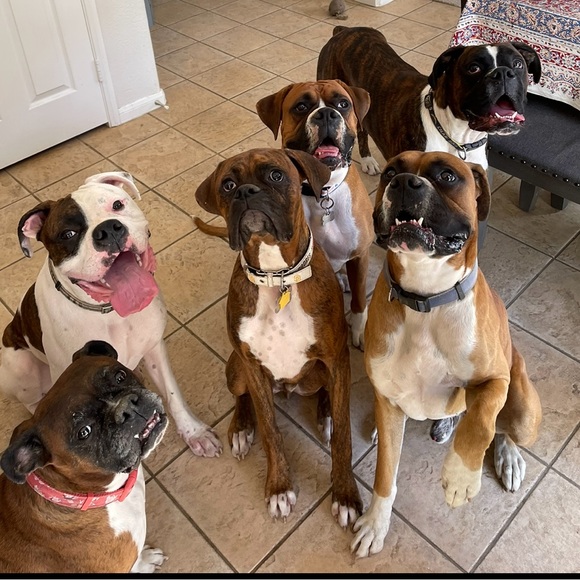 Profile Picture of N 🦋 Luna (@nluna_btq) on Poshmark