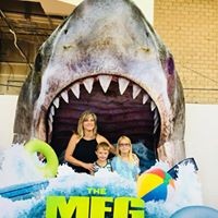 Profile Picture of Cindy Ferrin Tryon (@cindy-ferrin-tryon) on Quora