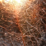 Profile Picture of Inger Færevik (@ingerfarevik) on Flickr