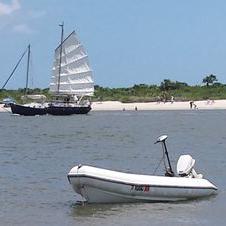 Profile Picture of Brandon Tovey (@DamTheHoes924) on Twitter