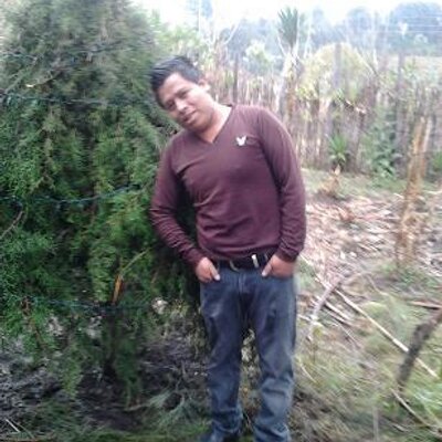 Profile Picture of ALEXANDER CEDILLO (@ALEXANDERCEDIL2) on Twitter