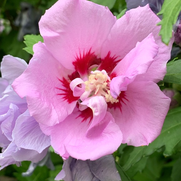 Profile Picture of Akiko Yabana (@kiki604) on Poshmark