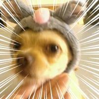 Profile Picture of Terri Alexander (@terri-alexander-15) on Quora