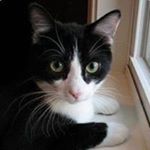 Profile Picture of Mak Car (@adriana.m.ordenes) on Instagram