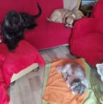 Profile Picture of Doris Berthold (@doris.berthold.33) on Facebook