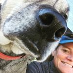 Profile Picture of Eric Brubaker (@bruman2) on Instagram