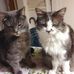 Profile Picture of Suzanne Pedersen (@suzanne.pedersen.92) on Facebook