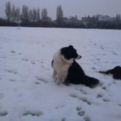 Profile Picture of Joe Rook (@joerook2) on Twitter