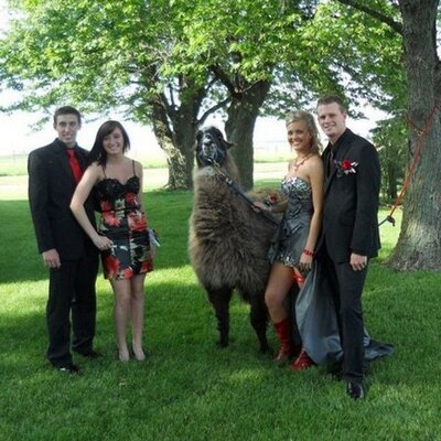 Profile Picture of Jimmy McCarty (@jimcope87) on Twitter