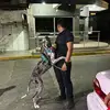 Profile Picture of A0102 (@danielberrellezamanzana0) on Tiktok