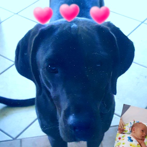 Profile Picture of Devin Williamson (@devinwilliamson83) on Tiktok