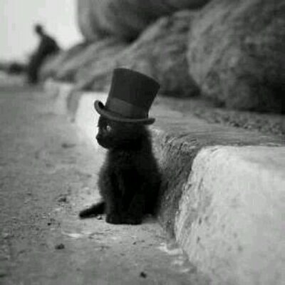 Profile Picture of Mary Jo Manley (@manley_jo) on Twitter