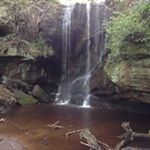 Profile Picture of Wendy Robertson (@wendella12) on Instagram