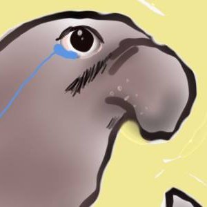 Profile Picture of Daniel Yin (@danielyintwit) on Twitter