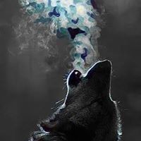 Profile Picture of Ivan Casares (@ivan-casares) on Quora