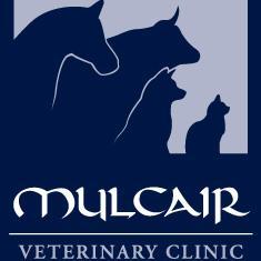 Profile Picture of Mulcair Veterinary Clinic (@mulcairvets) on Twitter