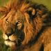 Profile Picture of Onofre Gutierrez (@onofre.gutierrez.77) on Facebook