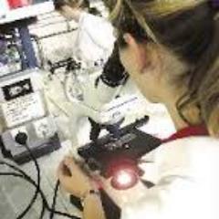 Profile Picture of Daldoul Essia (@AcityEssia) on Twitter