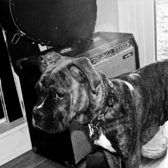 Peter Mariani - Twitter Profile Picture of Peter Mariani (@PeterMariani) on Twitter