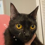 Profile Picture of Dillon Jennings (@dill0n.jennings) on Instagram