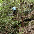 Profile Picture of Matthew Rippetoe (@matthew.r.rippetoe) on Facebook