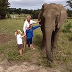Profile Picture of Sylvia de Vries (@sylviade.vries) on Instagram