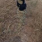 Profile Picture of Carlos Jiron (@Carlos-Jiron) on Facebook