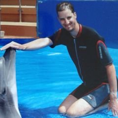 Profile Picture of Alexander De Bie (@alexander_bie) on Twitter