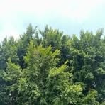 Profile Picture of Carlos Corvera (@carlos.corvera.995571) on Facebook