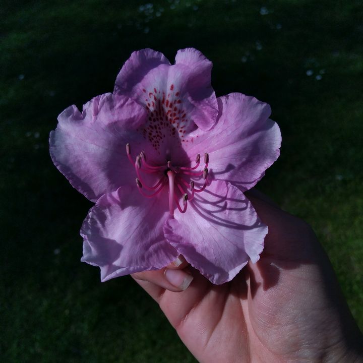 Profile Picture of 𝐬𝐡𝐞𝐥𝐛𝐲 (@shelby.cotteril.1) on Tiktok