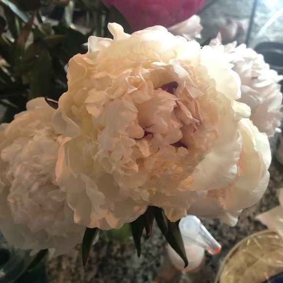 Profile Picture of Brooke Hasluck (@vivalabrookee) on Poshmark