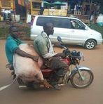 Profile Picture of Benjamin Plant (@Benjamin-Plant) on Facebook