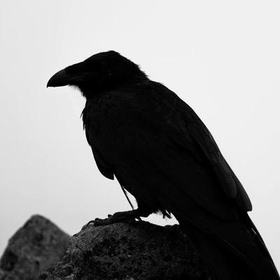 Profile Picture of Devon Caseon Twitter