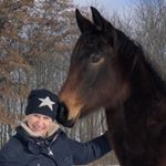 Profile Picture of Laurie Moore (@lmdressage) on Instagram