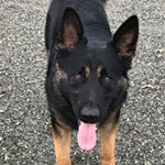 Profile Picture of Matthew Whitford (@matthew._.whitford) on Instagram