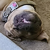 Profile Picture of Steve Rivas (@steveR0708) on Youtube